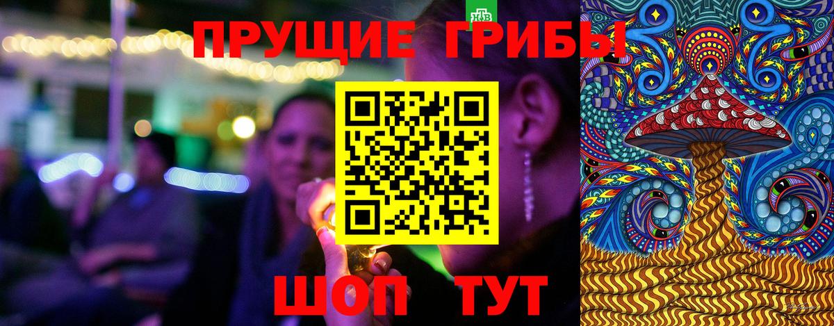 Киреевск  дарнет шоп  Вход с VPN  Галлюциногенные грибы MAGIC MUSHROOMS 